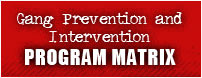 program matrix