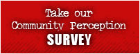 perception survey
